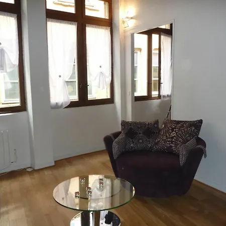 With One In Lyon, With Wonderful View And Wifi *